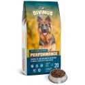 DIVINUS Performance 20 kg Pieaudzis suns DIVINUS Performance 20 kg Pieaudzis suns