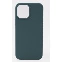 Evelatus Apple iPhone 12 Pro Max Premium Soft Touch Silicone Case Pine Green