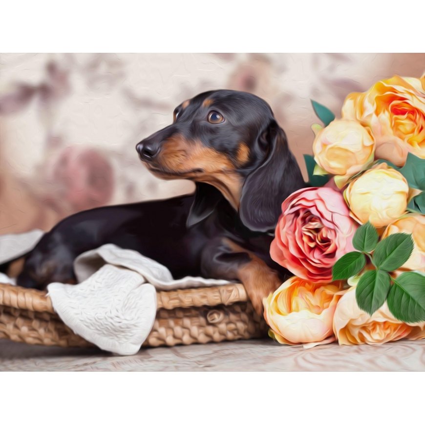 Beldizart Diamond painting kit Dachshund 40х30