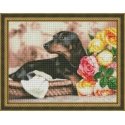 Beldizart Diamond painting kit Dachshund 40х30 cm AZ-1457