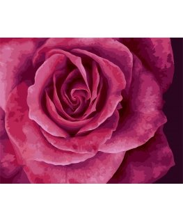 Beldizart Piešimo pagal skaičius rinkinys. B114 Graži rožė 40*50