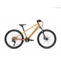Vaast Y/1 MOUNTIAN 24, GLOSS ORANGE