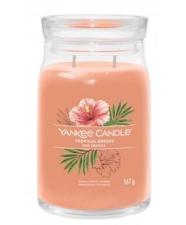 Yankee Candle Tropical Breeze vahakynttilä Sylinteri Guava, Minttu Oranssi 1 kpl