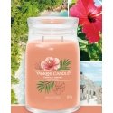 Yankee Candle Tropical Breeze wax candle Cylinder Guava, Mint Orange 1 pc(s) Yankee Candle Tropical Breeze wax candle Cylinder Guava, Mint Orange 1 pc(s)