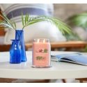 Yankee Candle Tropical Breeze vahakynttilä Sylinteri Guava, Minttu Oranssi 1 kpl Yankee Candle Tropical Breeze vahakynttilä Sylinteri Guava, Minttu Oranssi 1 kpl