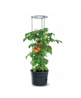 Prosperplast Tomato grower IPOM300 tomato pot
