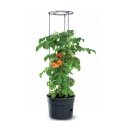 Prosperplast Tomato grower IPOM300 tomato pot Prosperplast Tomato grower IPOM300 tomato pot
