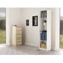 Topeshop R50 BIEL toimiston kirjahylly Topeshop R50 BIEL toimiston kirjahylly