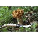 Opinel 3123840012525 карманный нож Дерево Opinel 3123840012525 карманный нож Дерево