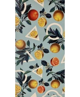 Evelatus Universal Lemon Colorful Film for Screen Cutter