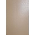 Evelatus Universal Leather Film for Screen Cutter Beige Evelatus Universal Leather Film for Screen Cutter Beige