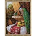 Beldizart SALE Peacocks 50x70 cm AZ-1825