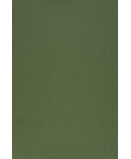 Evelatus Universal Universal Color Shinning Film for Screen Cutter Army Green