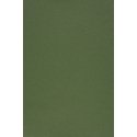 Evelatus Universal Universal Color Shinning Film for Screen Cutter Army Green Evelatus Universal Universal Color Shinning Film for Screen Cutter Army Green