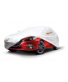 Amio Automobilio tentas - m dydžio sidabras