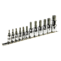 Topex Torx antgaliai ant 1/4, 3/8, 1/2 colio lizdo, rinkinyje 12 vnt.