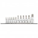 Topex Torx bits on 1/4, 3/8, 1/2 inch socket, set 12 pcs. Topex Torx bits on 1/4, 3/8, 1/2 inch socket, set 12 pcs.