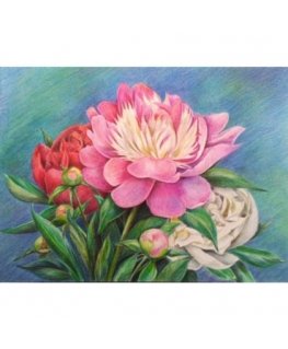 Beldizart Diamond painting set Peony bouquet 40*30 cm AZ-1313