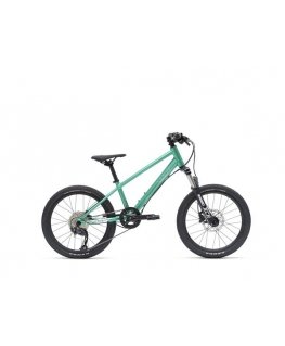 Vaast Y/1 MOUNTIAN 20, GLOSS TEAL