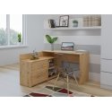 Topeshop DANY ARTISAN KPL tietokonepöytä Tammenväri Topeshop DANY ARTISAN KPL tietokonepöytä Tammenväri