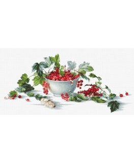 luca S Red Currant SB2260