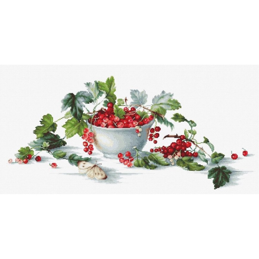 Luca S luca S Red Currant