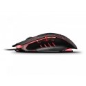 Mouse LioCat MX 557 C (MX 557 C) Mouse LioCat MX 557 C (MX 557 C)