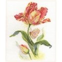 Beldizart Tulip and butterfly S2-14