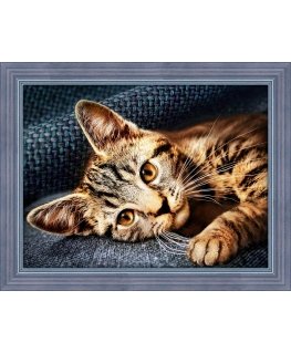 Beldizart Cat Barsik 40x30 cm AZ-1700