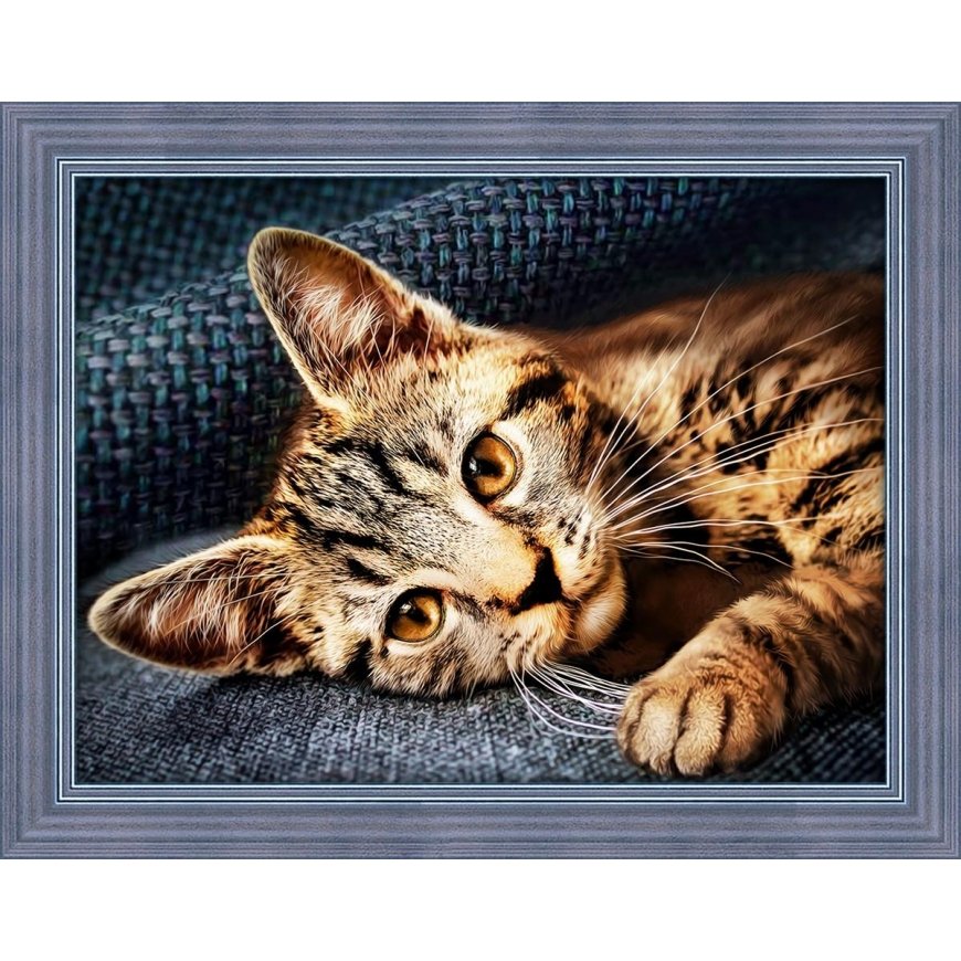 Beldizart Cat Barsik 40x30 cm AZ-1700