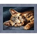 Beldizart Cat Barsik 40x30 cm AZ-1700 Beldizart Cat Barsik 40x30 cm AZ-1700