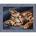 Beldizart Cat Barsik 40x30 cm AZ-1700 Beldizart Cat Barsik 40x30 cm AZ-1700