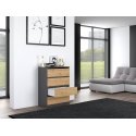 Topeshop M4 ANTRACYT/ARTISAN chest of drawers Topeshop M4 ANTRACYT/ARTISAN chest of drawers
