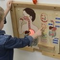 MASTERKIDZ educational board, digestive system MASTERKIDZ educational board, digestive system