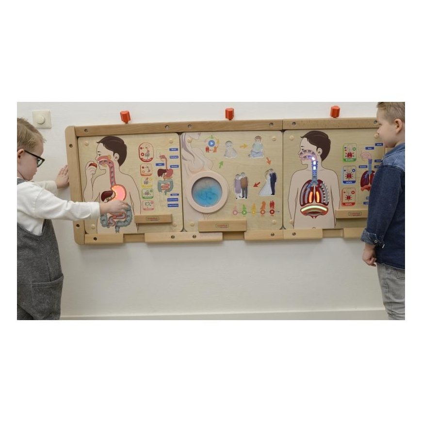 MASTERKIDZ educational board, digestive system – 5