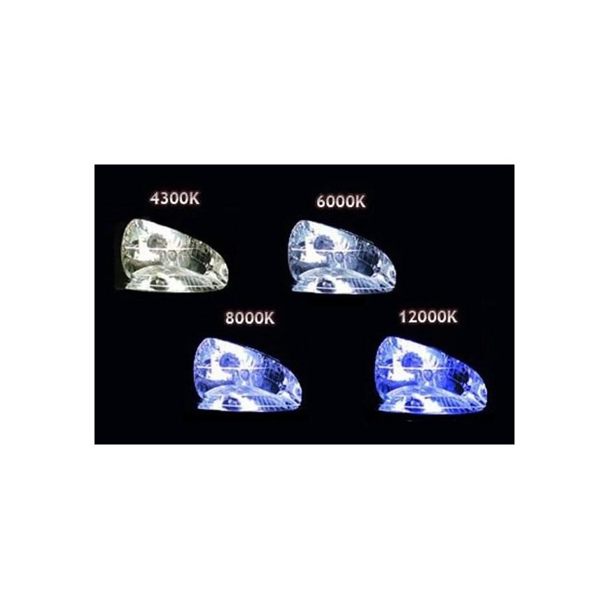 Amio 01840 Kit 1103 H7 6000K – 2