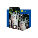 3MK 3MK All-In-One Hardy PROtector Phone dry/wet mounting 5 pcs. 3MK 3MK All-In-One Hardy PROtector Phone dry/wet mounting 5 pcs.