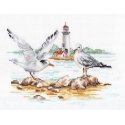 Beldizart Seagulls S3-30 Beldizart Seagulls S3-30