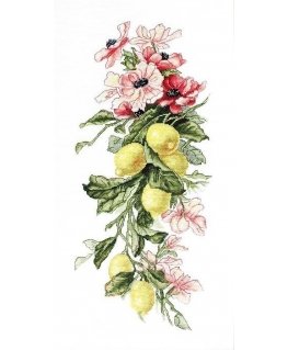 luca S Flowers and lemon SB210