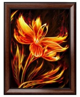 Beldizart Fire flower 30x40 cm AZ-1852