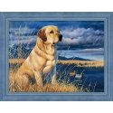 Beldizart Labrador on the Hunt 40x30 cm AZ-1681 Beldizart Labrador on the Hunt 40x30 cm AZ-1681
