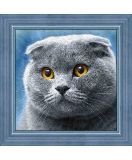Beldizart Diamond painting kit Cat 25х25cm AZ-1619