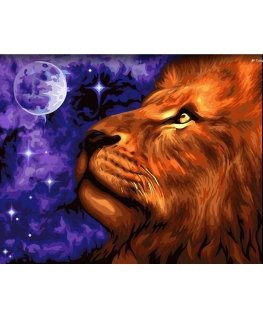 Beldizart Wizardi paint by number kit. Kingdom of the Moon 40x50 cm H073