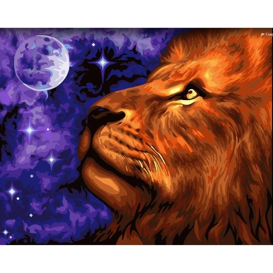 Beldizart Wizardi paint by number kit. Kingdom of the Moon 40x50 cm H073