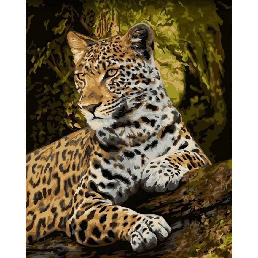 Beldizart Wizardi paint by number kit. Honorable glance 40x50 cm H159