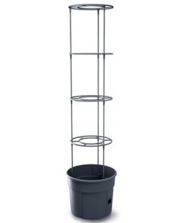 Prosperplast Tomato grower IPOM400 tomato pot