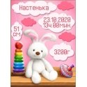 Beldizart Metric for a girl with a bunny 30*40 cm AZ-1902