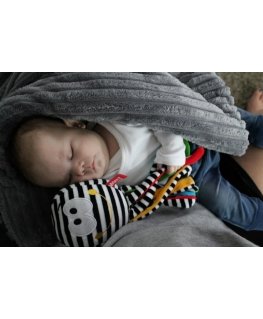 Hencz Contrasting toy Mini Octopus ZA3667