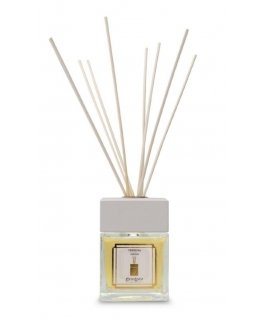 Drėkintuvas Erbolinea Kvapas namams su lazdelėmis Verbena, 100 ml ERBAMBVERB100