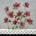 Eurofirany FIR/ISA/B+BORD 30X150 Dieninės užuolaidos